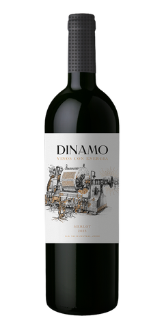 Garrafa do vinho Dinamo Merlot