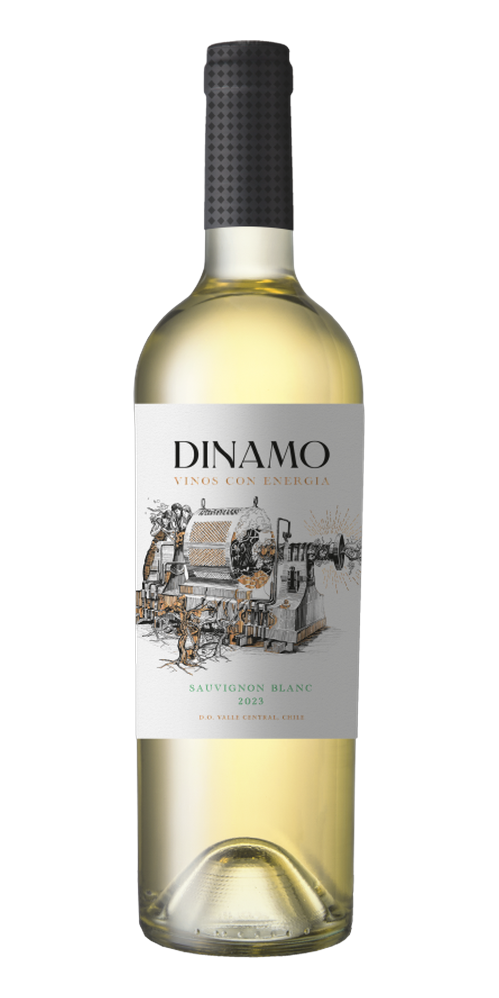Garrafa do vinho Dinamo Sauvignon Blanc