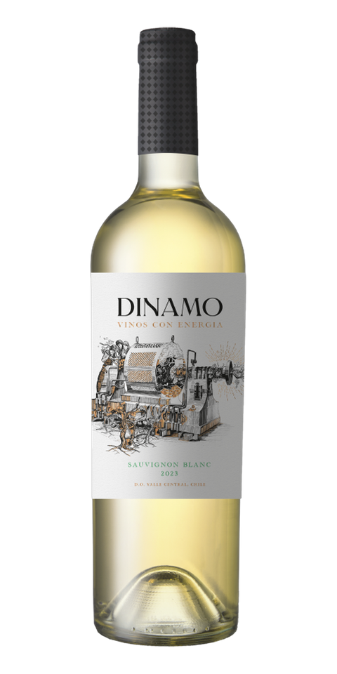 Garrafa do vinho Dinamo Sauvignon Blanc