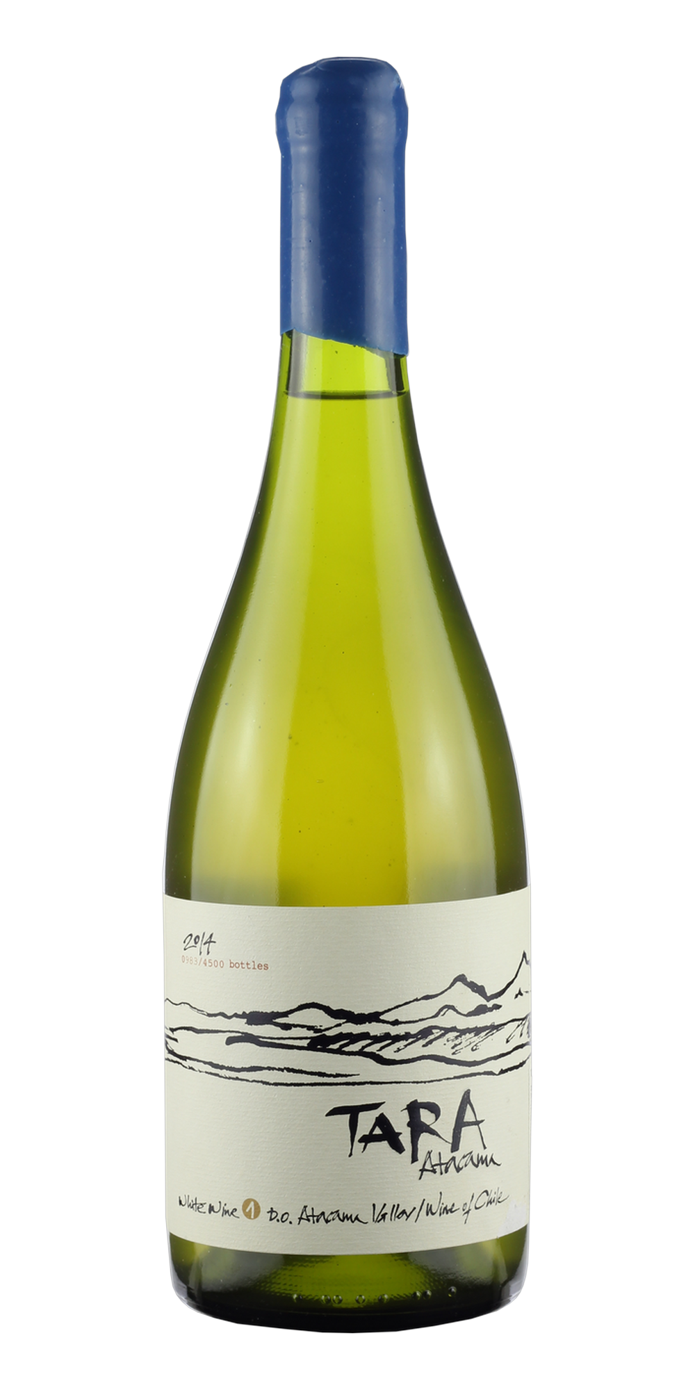 Garrafa do vinho Tara Atacama Chardonnay