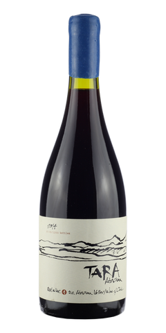 Garrafa do vinho Tara Atacama Pinot Noir