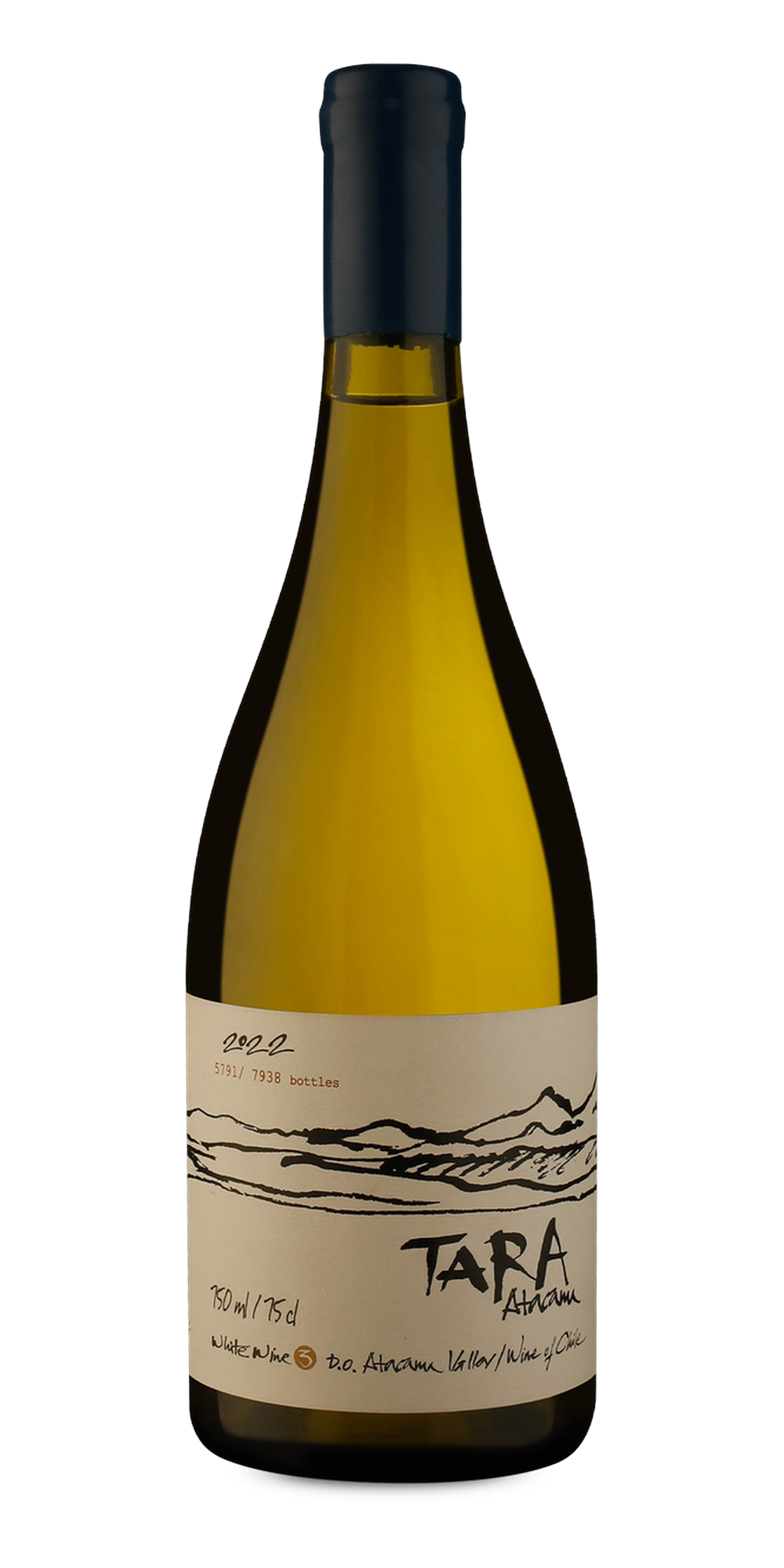 Garrafa do vinho Tara Atacama Sauvignon Blanc