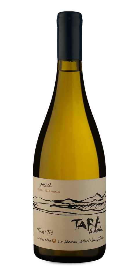 Garrafa do vinho Tara Atacama Sauvignon Blanc